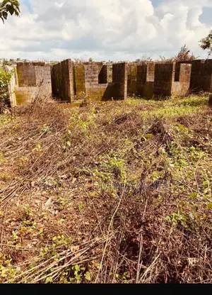 1 Full Plot of Land