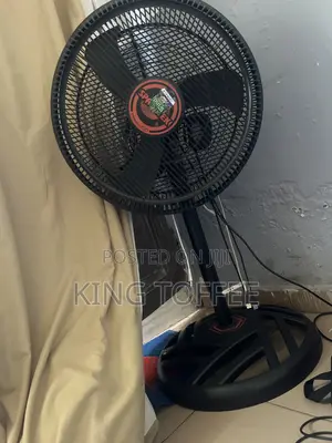 Standing Fan