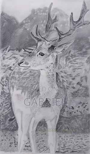 Glance of the Wild