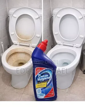 Professional Spotless Cleaning and Toilet Treatment Abuja Apo.