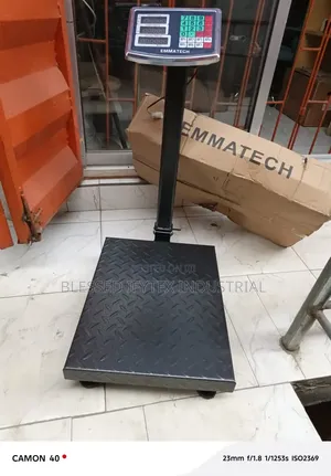 300Kg Digital Platform Scale
