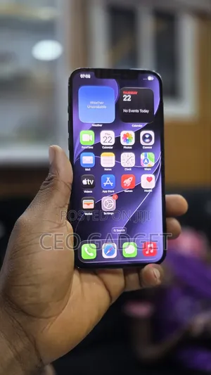Apple iPhone 12 Pro Max 256 GB Blue