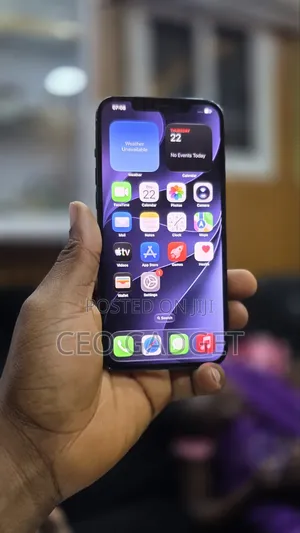 Apple iPhone 12 Pro Max 256 GB Blue