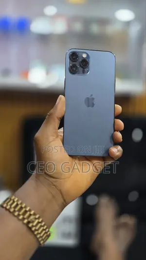 Apple iPhone 12 Pro Max 256 GB Blue