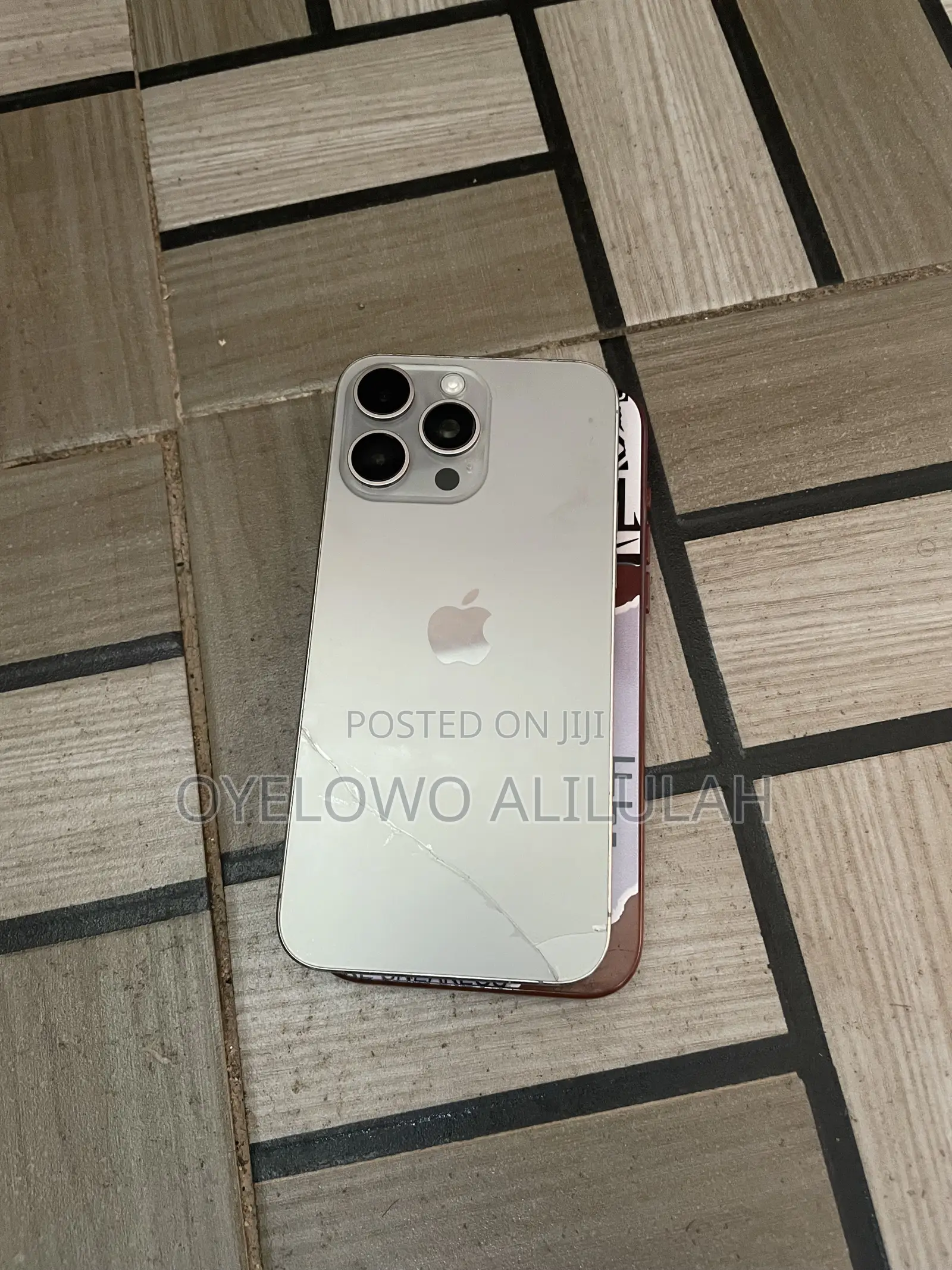 Apple iPhone 15 Pro Max 256 GB Silver
