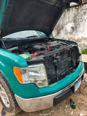 Ford F-150 2010 Green