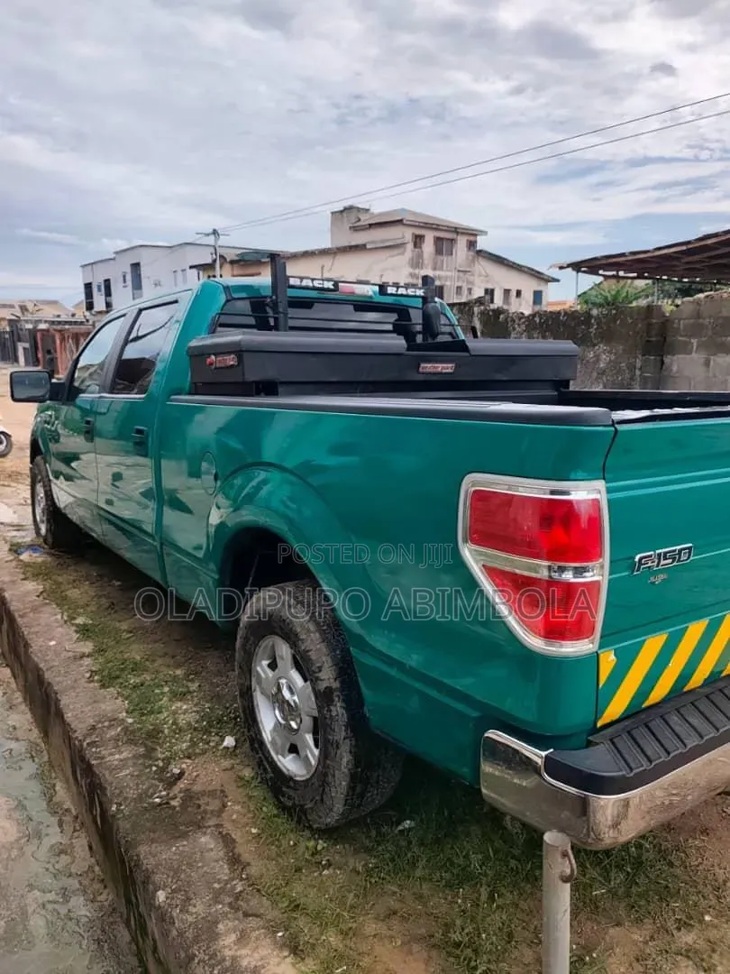 Ford F-150 2010 Green