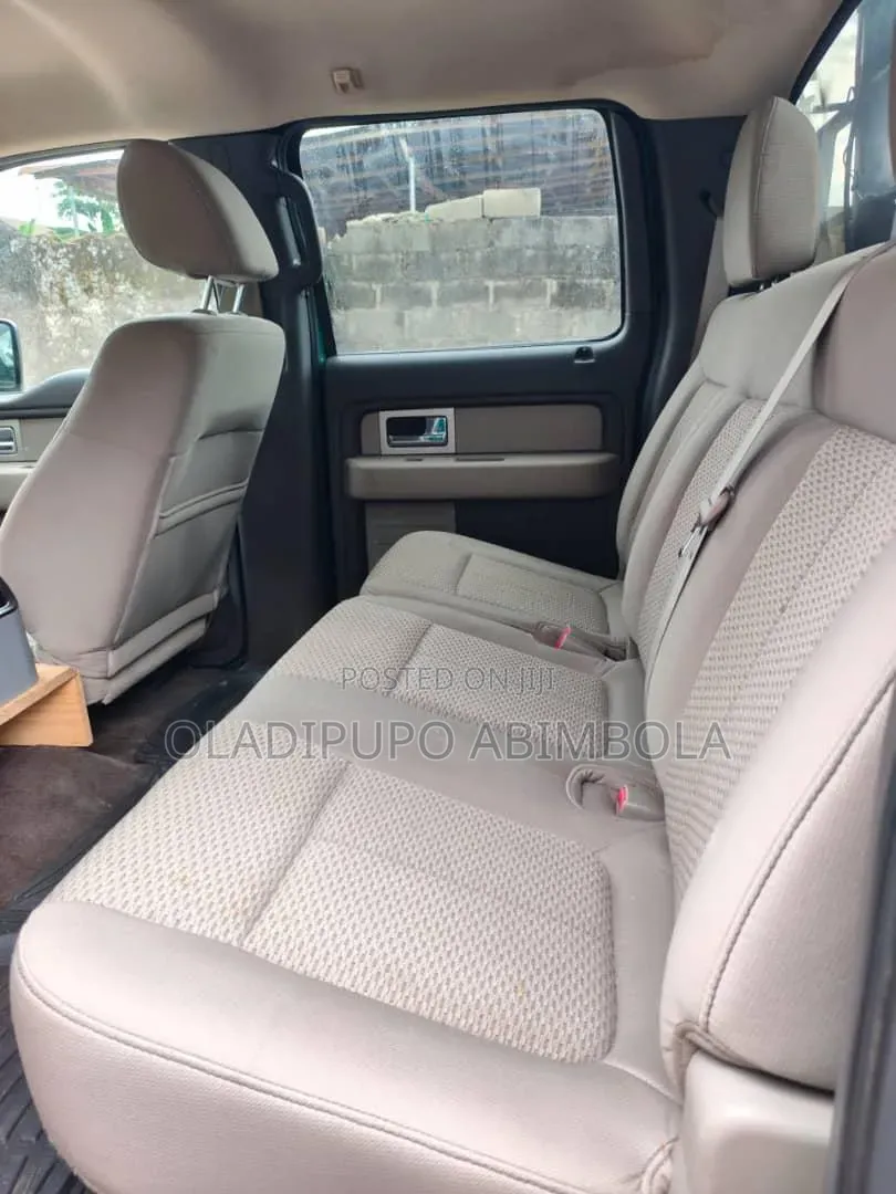 Ford F-150 2010 Green
