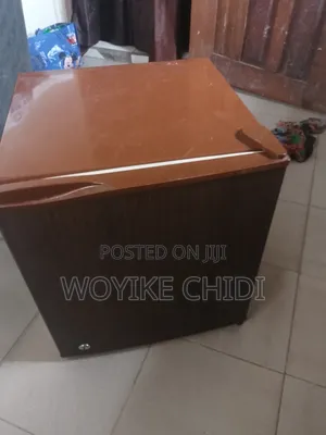 Bed Side Fridge