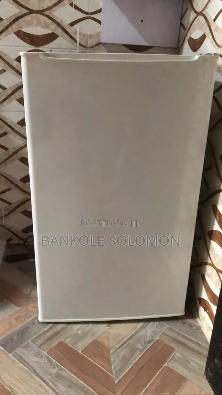 Portable Freezer