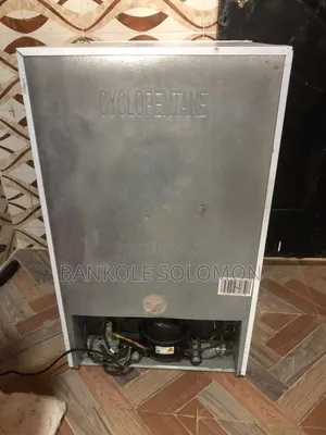 Portable Freezer