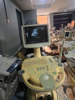 Sonoace X4 With Convex TVS Probe