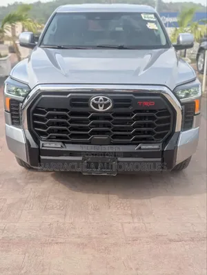 Toyota Tundra 2024 Gray