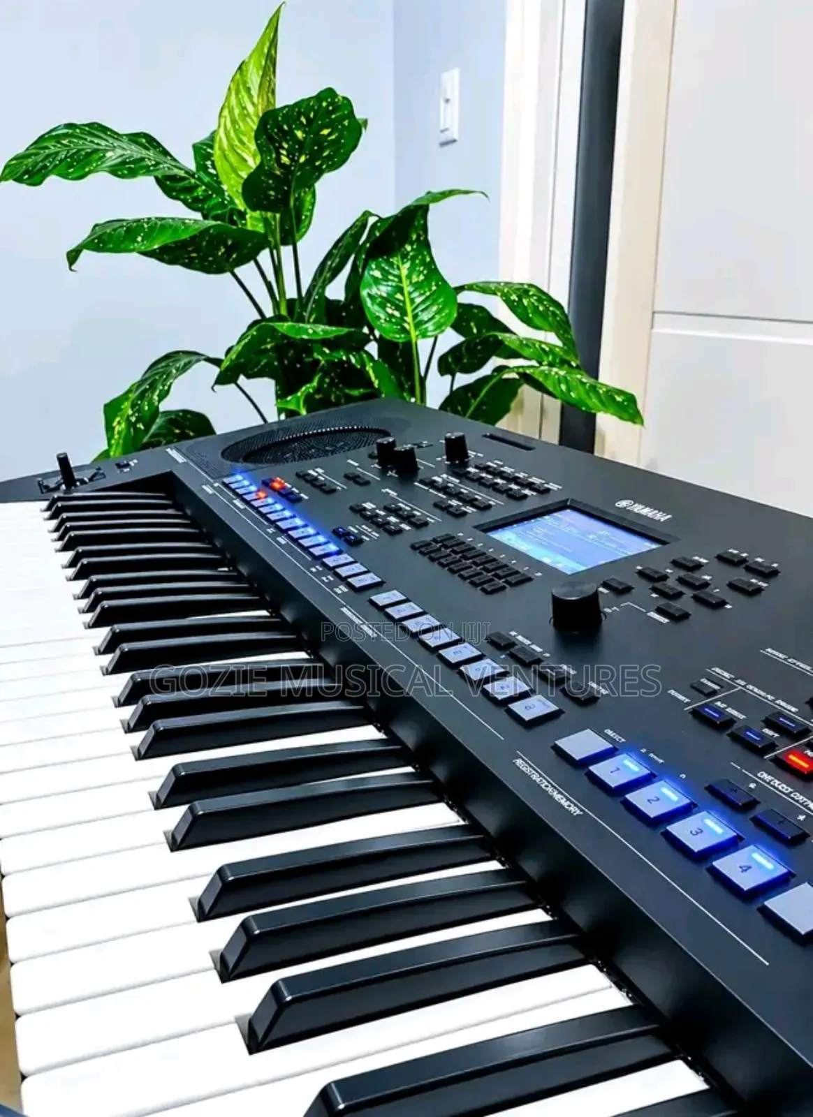 Yamaha Piano PSR Sx 620 With Original Adaptor