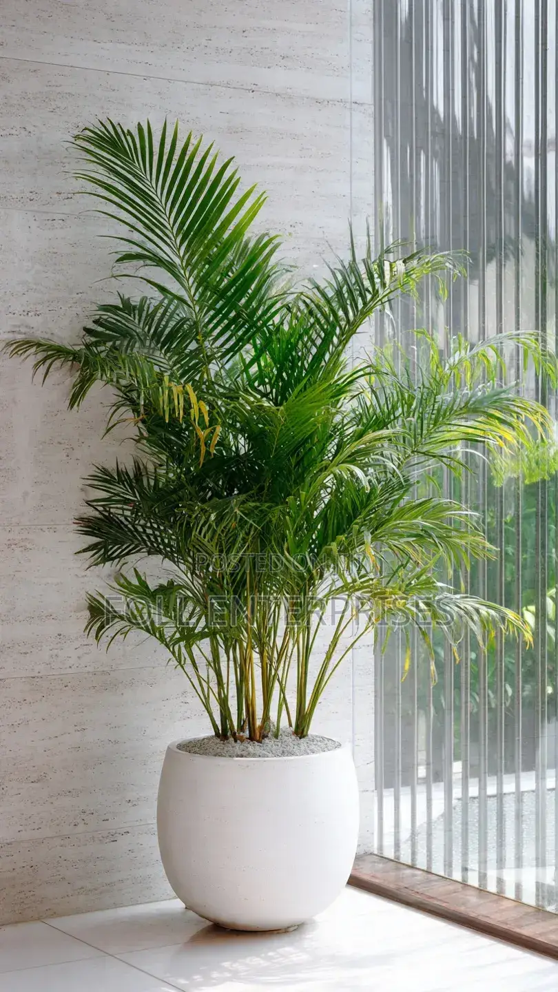 Fumigation Cleaning and Landscaping