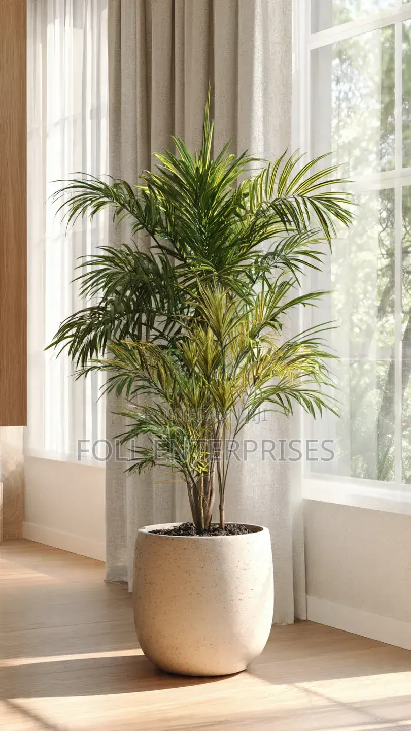 Fumigation Cleaning and Landscaping