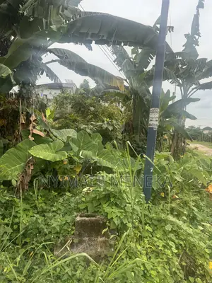 One Plot of Dry Table Land