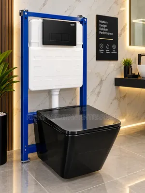 Black Modern Toilet With Concealed Cistern Installation System