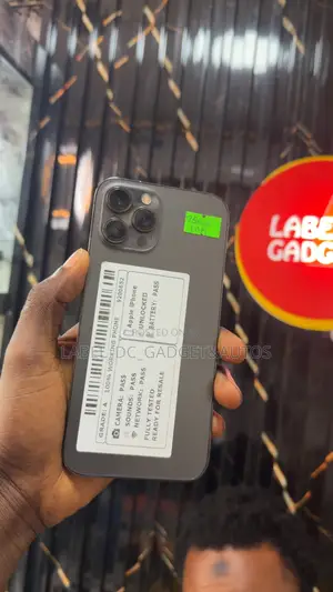 Apple iPhone 12 Pro Max 256 GB Black