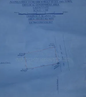 Land Surveyor in Abeokuta