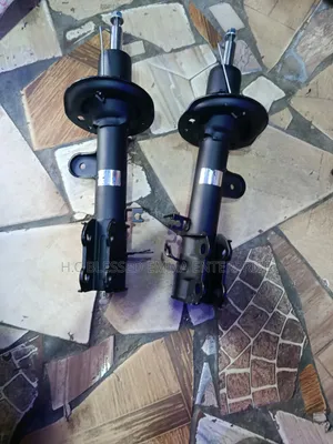 Front Shock Geely Coolray