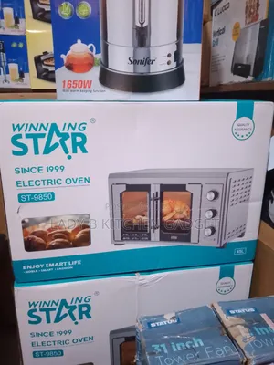 Winning Star Electric Oven