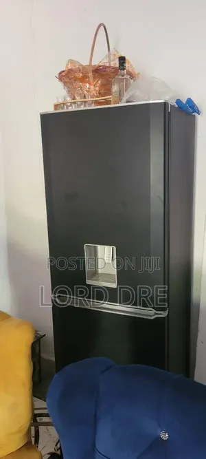Standing Fridge Available Very Active Sharp Sharp Freezing