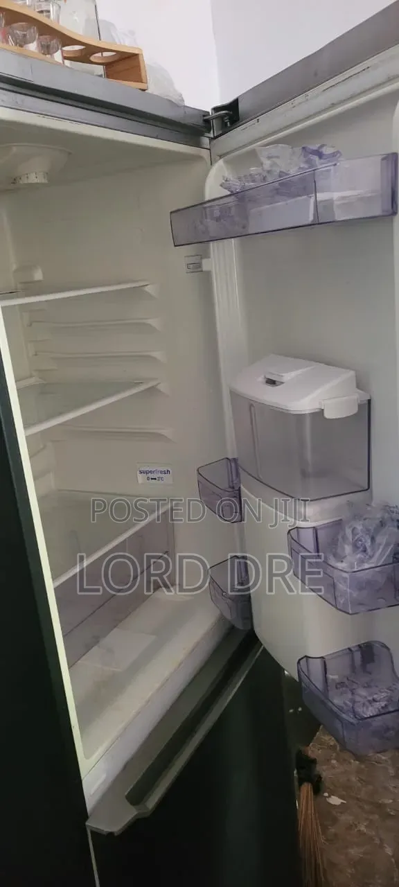 Standing Fridge Available Very Active Sharp Sharp Freezing