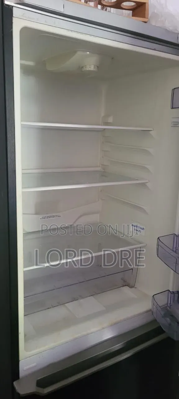 Standing Fridge Available Very Active Sharp Sharp Freezing