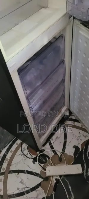 Standing Fridge Available Very Active Sharp Sharp Freezing