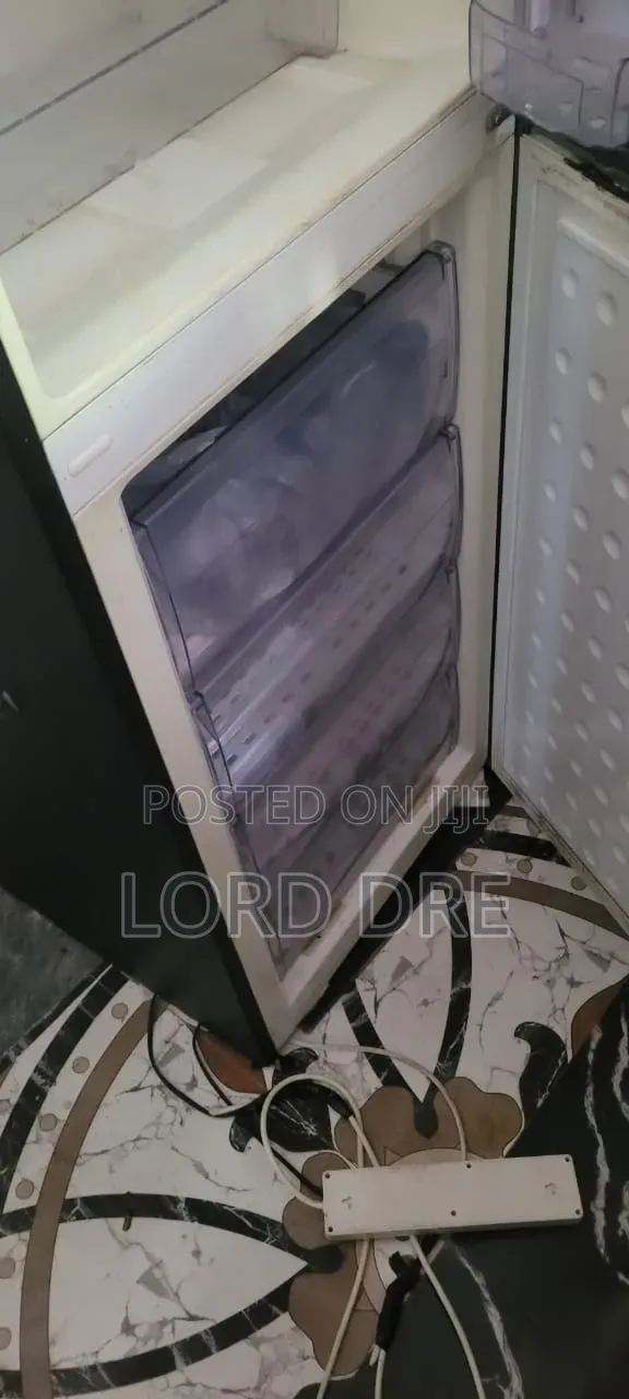 Standing Fridge Available Very Active Sharp Sharp Freezing