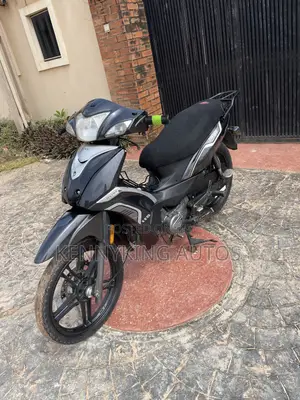 Qlink Reiz 110 2025 Black