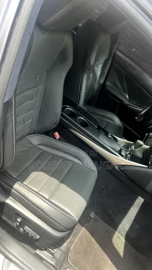 Lexus IS 250 4WD 2014 Gray