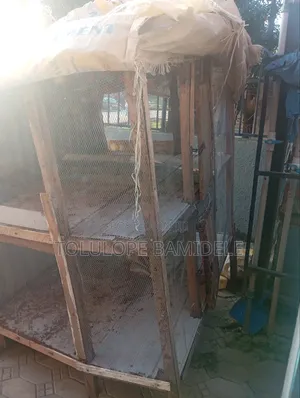 Relocation Sells Double Layer Poultry Cage