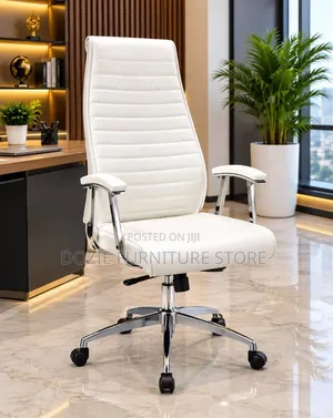 Luxury Furniture Chair Available