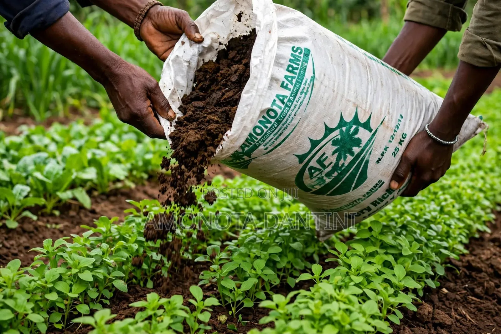 Bio-Fertilizers/Manure