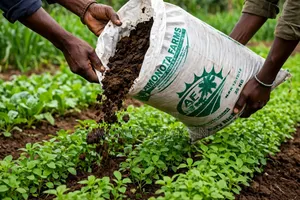Bio-Fertilizers/Manure