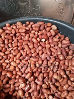 Pure Bite Groundnut