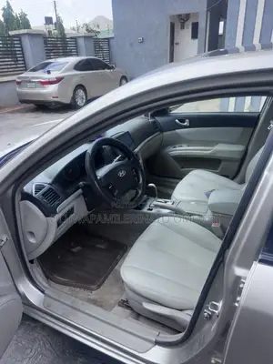Hyundai Sonata 2008 Gold