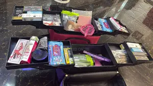 Starter Makeup Kit