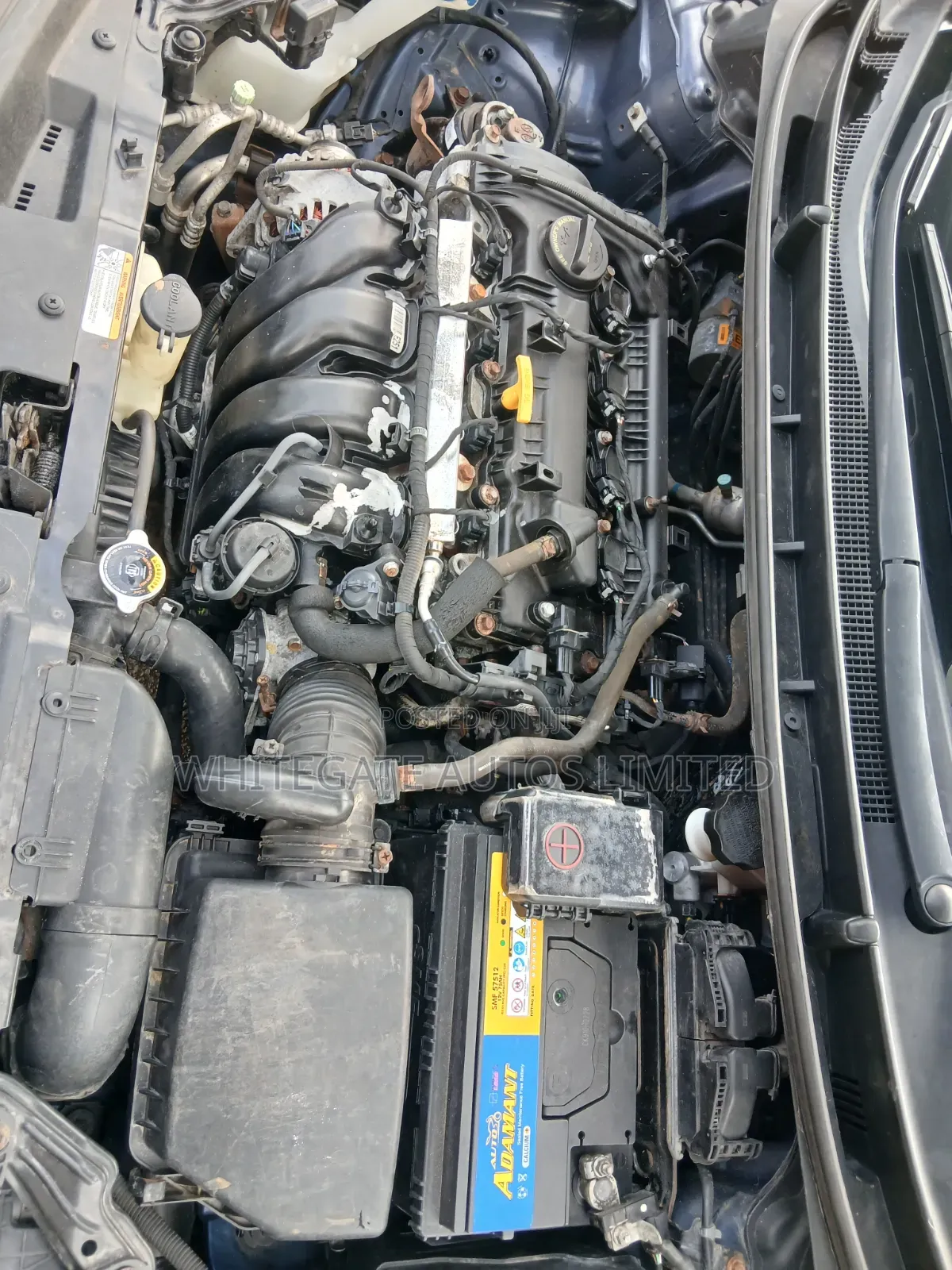 Hyundai Elantra GT 2013 Blue