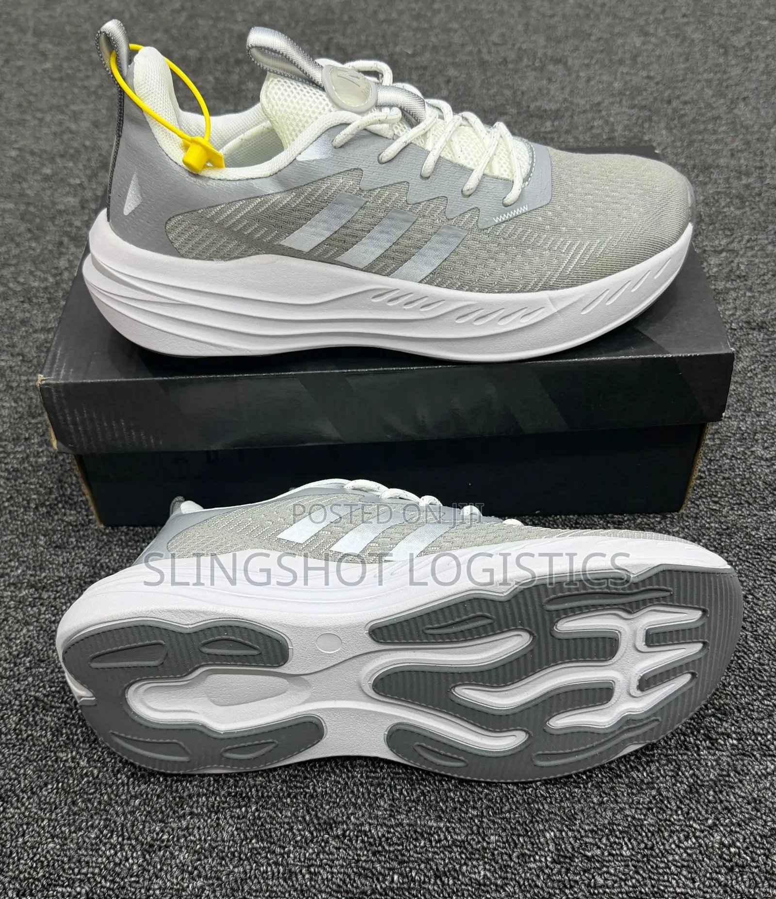Gym Shoes and Trainers