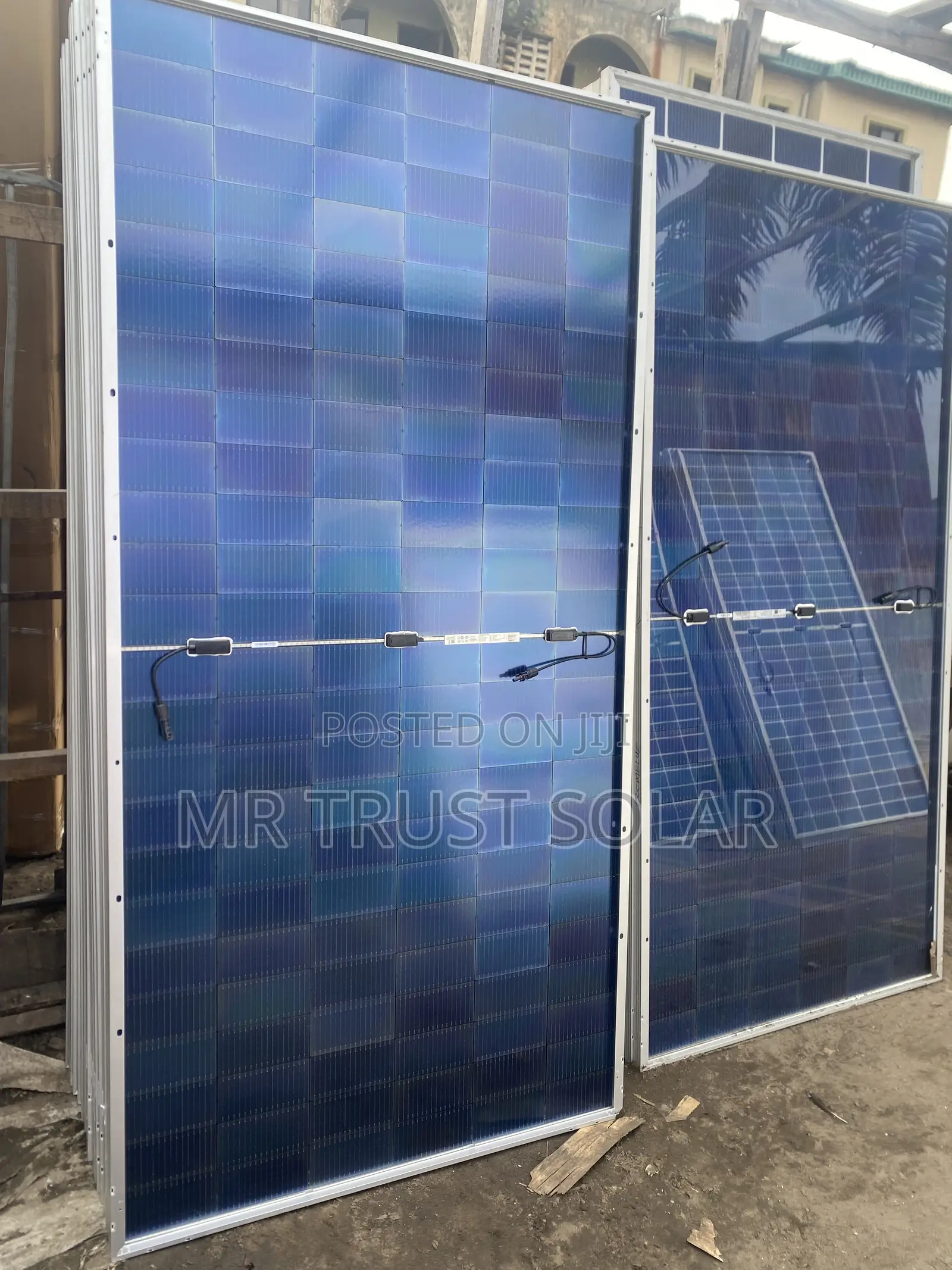 650w Jinko Baficia Panel
