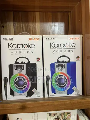 Wster Ws-602 Portable High Quality Sound With 1 Wired Microphone 1500