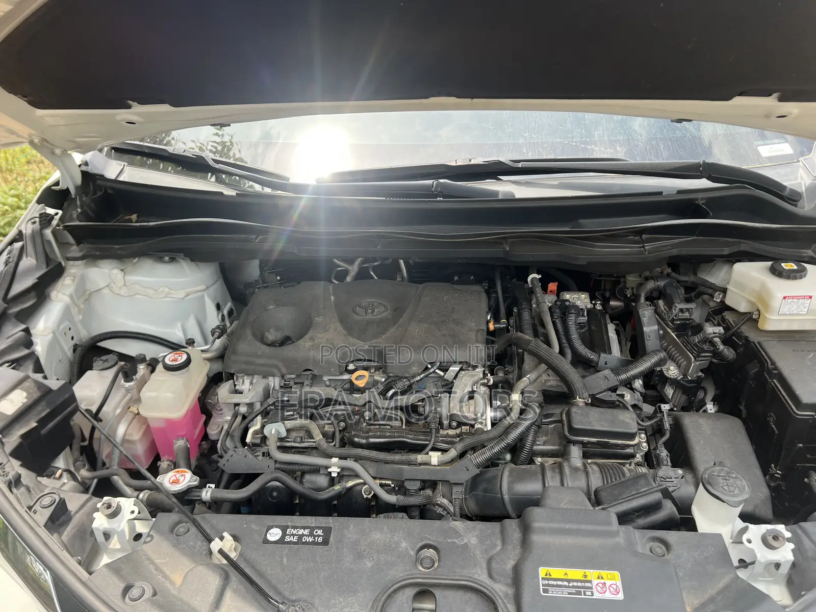 Toyota Sienna 2022 White