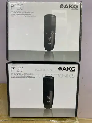 P120 Condenser Microphone