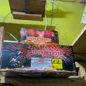 (2 in 1 Craziest Fireworks Combo)100shot and 49shot