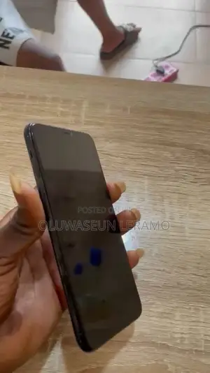 Apple iPhone 11 Pro Max 256 GB Gray
