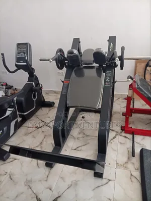 The Hack Squat (Leg Press Machine)