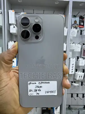 Apple iPhone 15 Pro Max 256 GB Gray